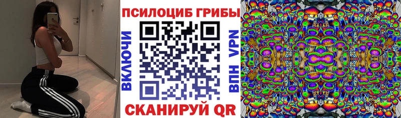 блэк спрут ссылка  Сургут  даркнет как зайти  Псилоцибиновые грибы MAGIC MUSHROOMS 