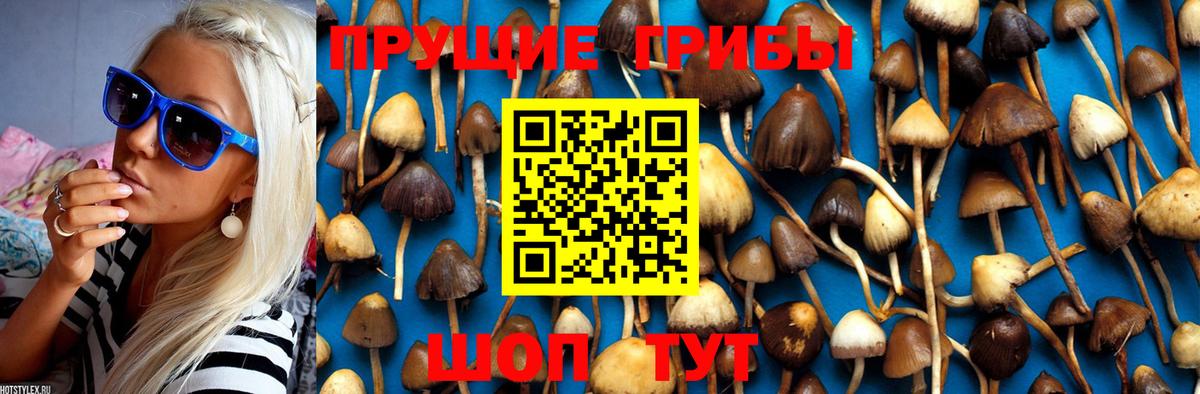 APVP Сургут
