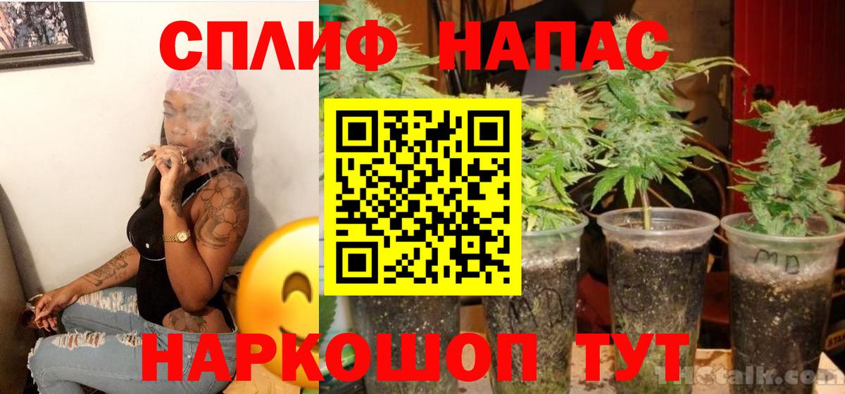 Бошки марихуана марихуана Сургут